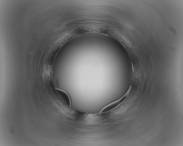 X0000112110141200908041549