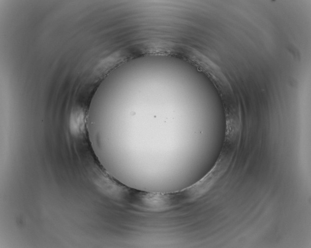 X0000112110142200908041549