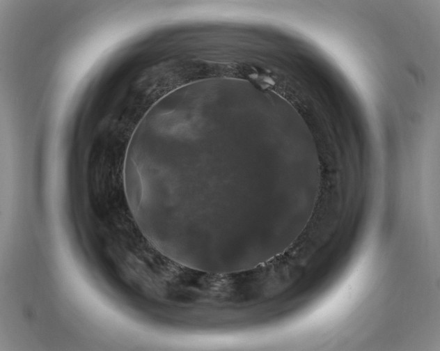 X0000112110143200908041549