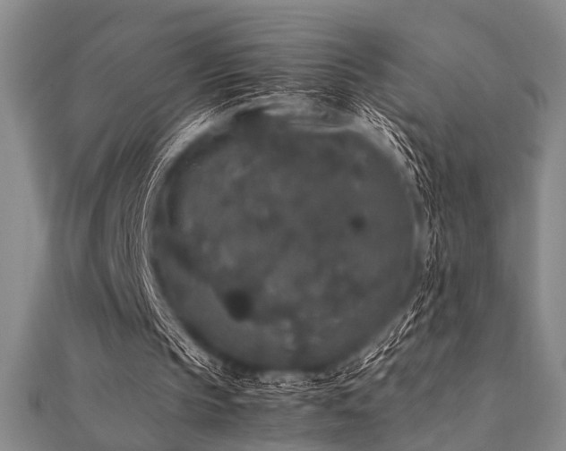 X0000112110145200908041548