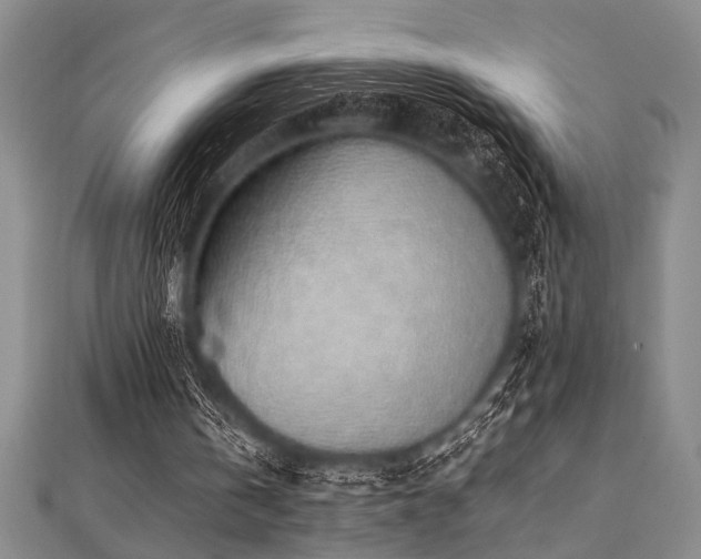 X0000112110146200908041548