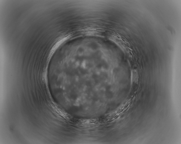 X0000112110147200908041548