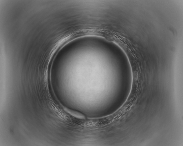 X0000112110148200908041548