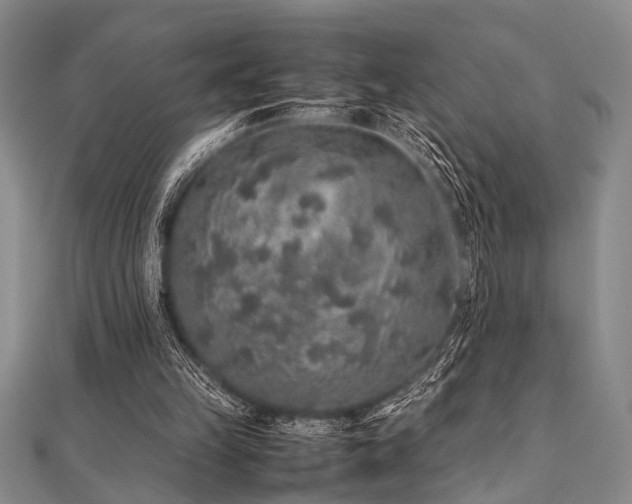 X0000112110149200908041548