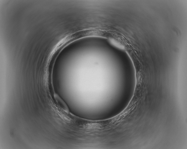 X0000112110150200908041548