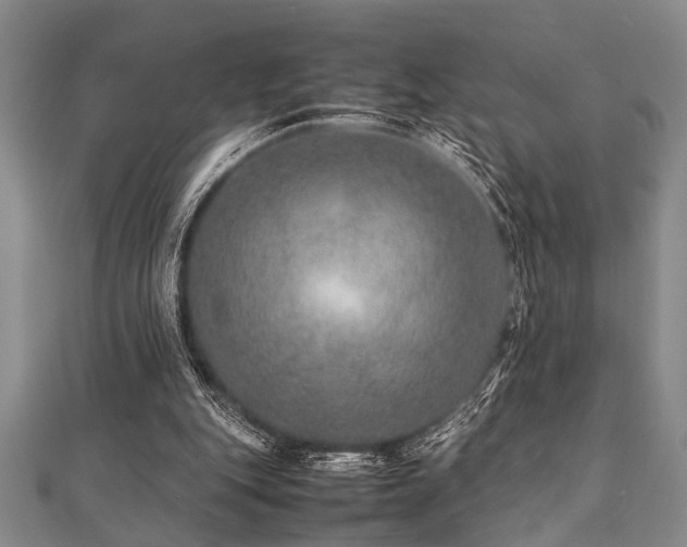 X0000112110151200908041548