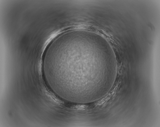 X0000112110152200908041548