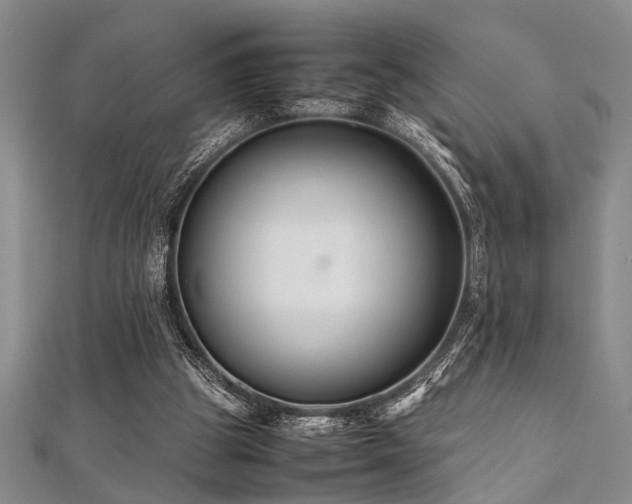 X0000112110153200908041548