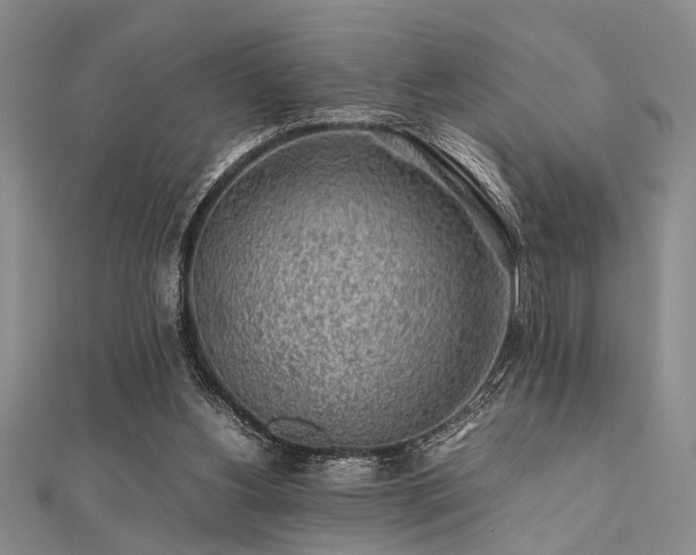 X0000112110156200908041548