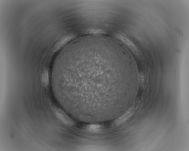 X0000112110158200908041548