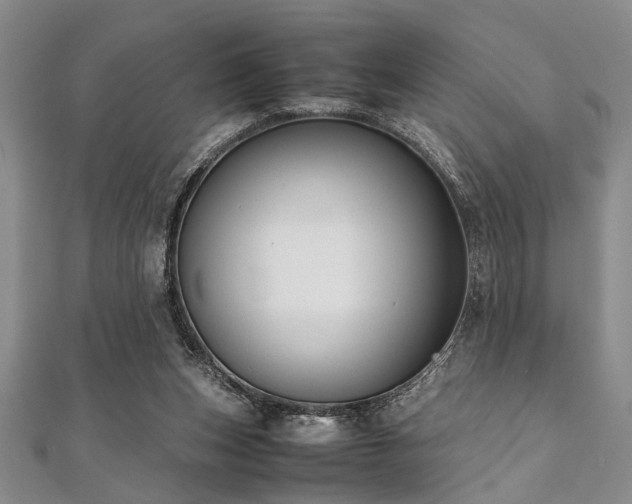 X0000112110159200908041548