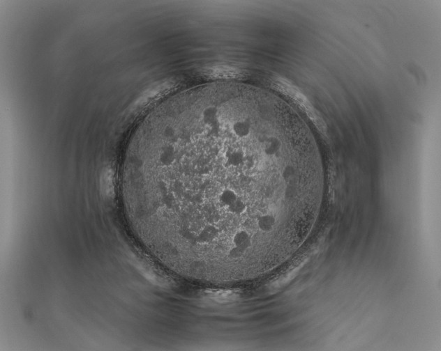 X0000112110161200908041548