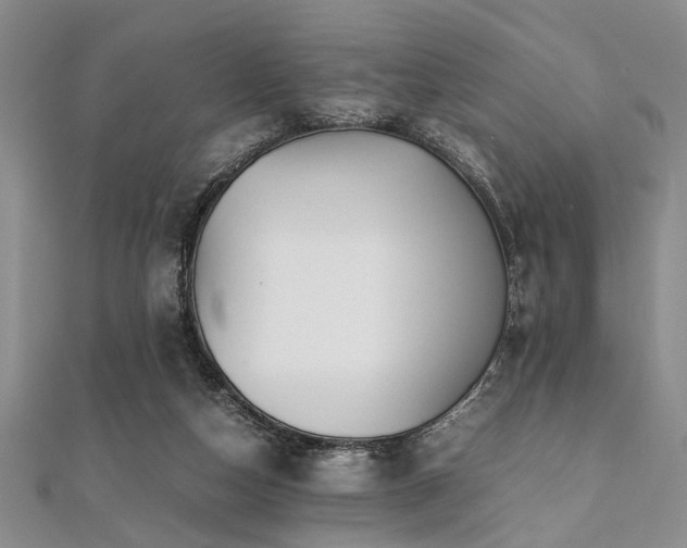 X0000112110162200908041548