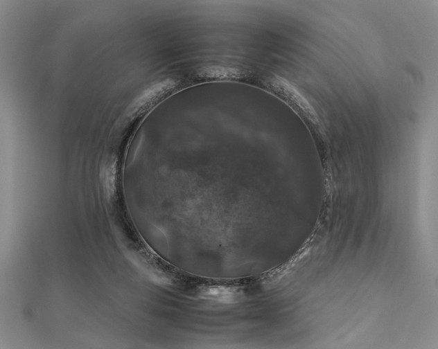 X0000112110163200908041548