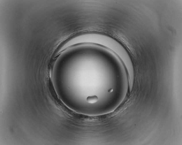 X0000112110164200908041548