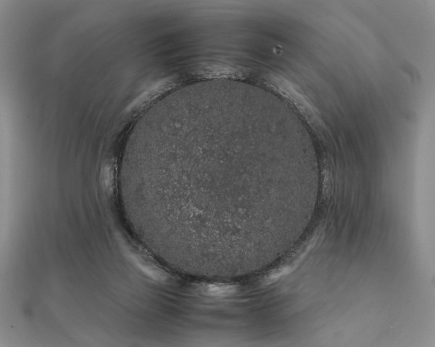 X0000112110165200908041548