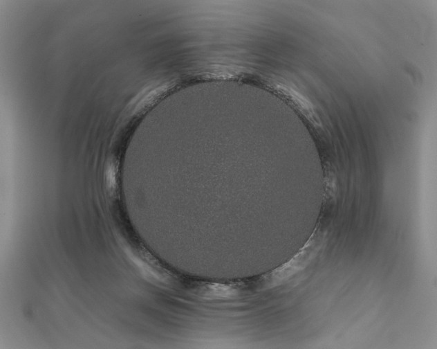 X0000112110166200908041548