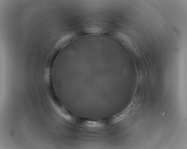 X0000112110167200908041548