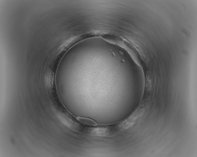 X0000112110168200908041548