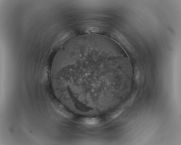 X0000112110169200908041548