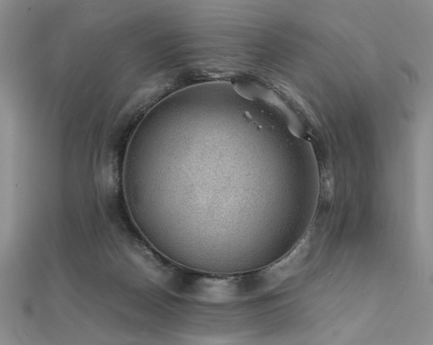 X0000112110170200908041548