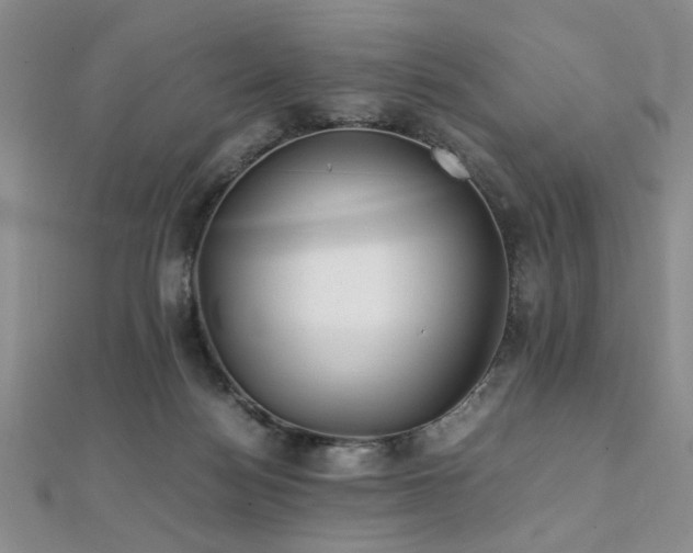 X0000112110172200908041548