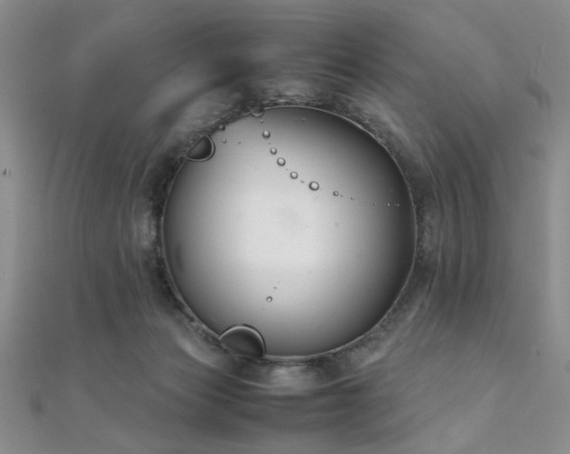 X0000112110173200908041548