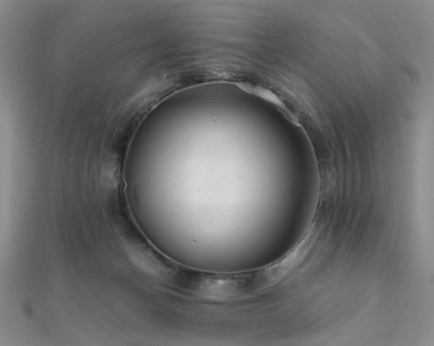 X0000112110174200908041548