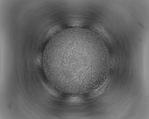 X0000112110175200908041548