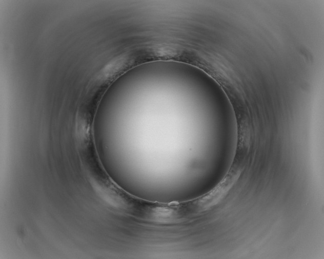 X0000112110176200908041548