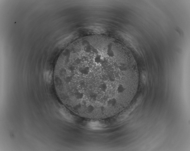 X0000112110177200908041548