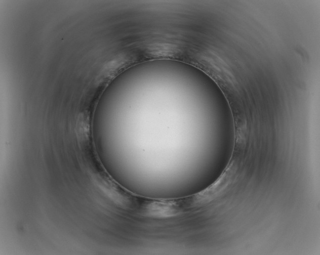 X0000112110179200908041548