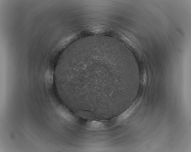 X0000112110180200908041548