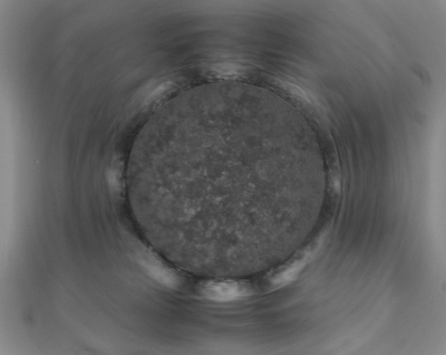 X0000112110181200908041548