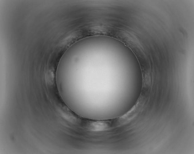 X0000112110183200908041549