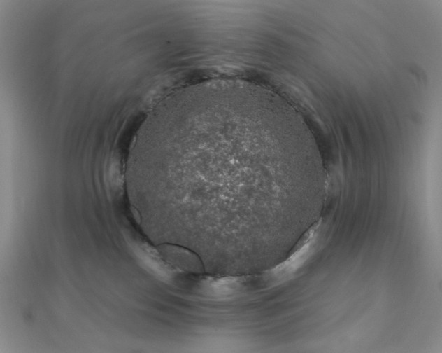 X0000112110186200908041549