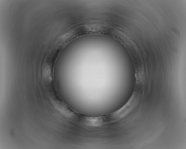 X0000112110187200908041549