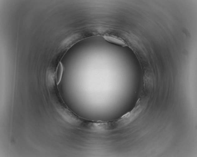 X0000112110188200908041549