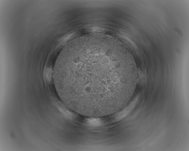 X0000112110189200908041549