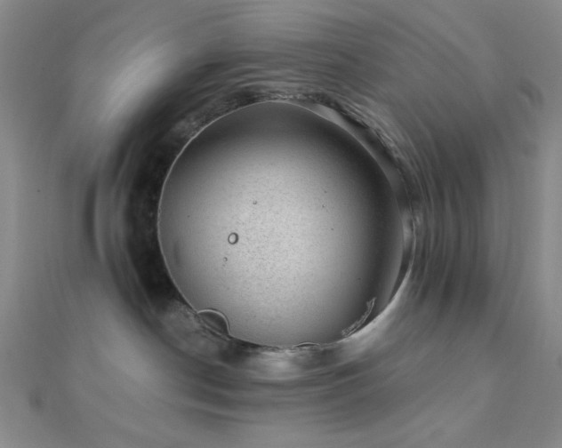 X0000112110190200908041549