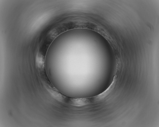 X0000112110191200908041549