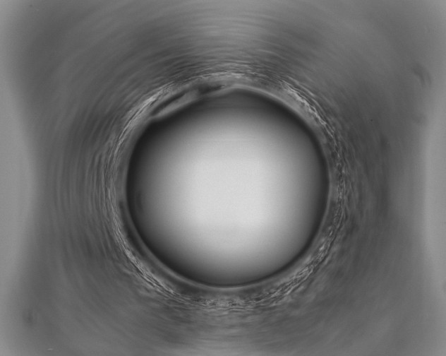 X0000112110193200908041548