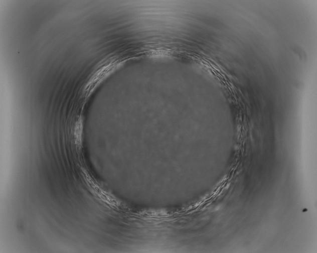 X0000112110194200908041548