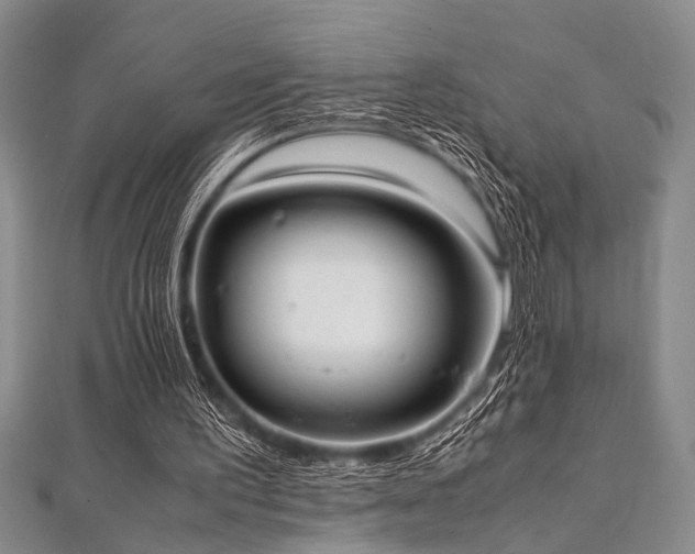 X0000112110195200908041548