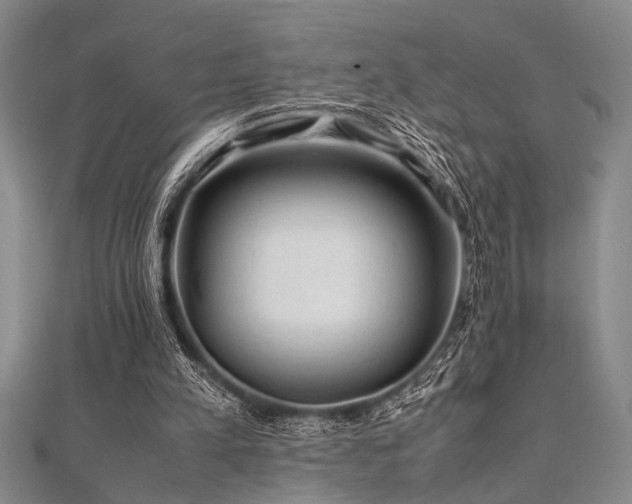 X0000112110197200908041548