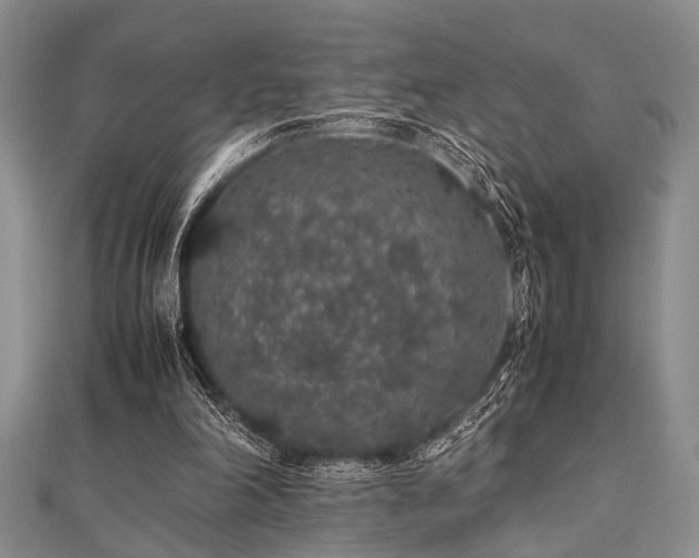 X0000112110198200908041548