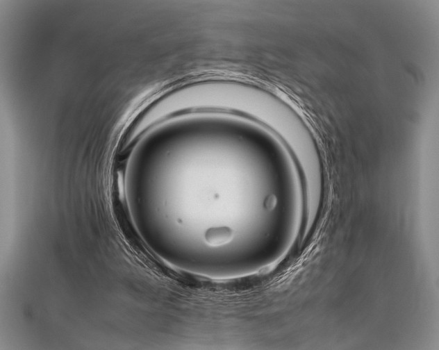 X0000112110199200908041548