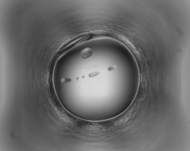 X0000112110201200908041548