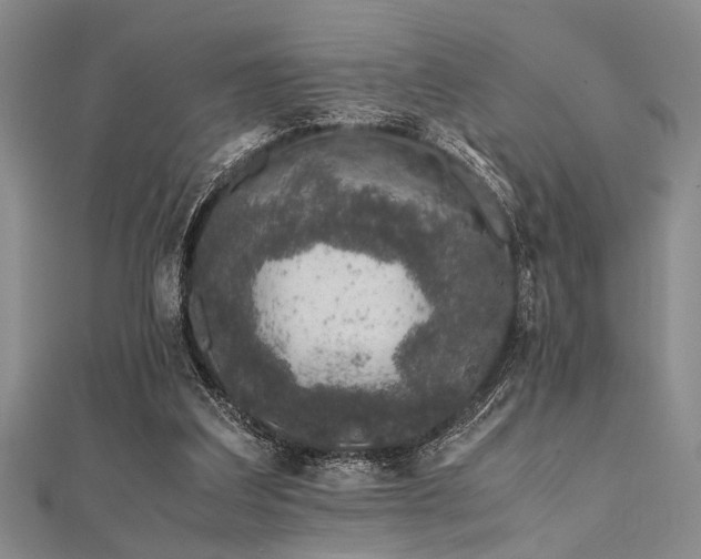 X0000112110203200908041548