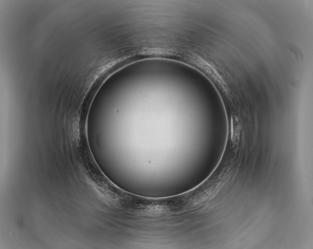 X0000112110204200908041548